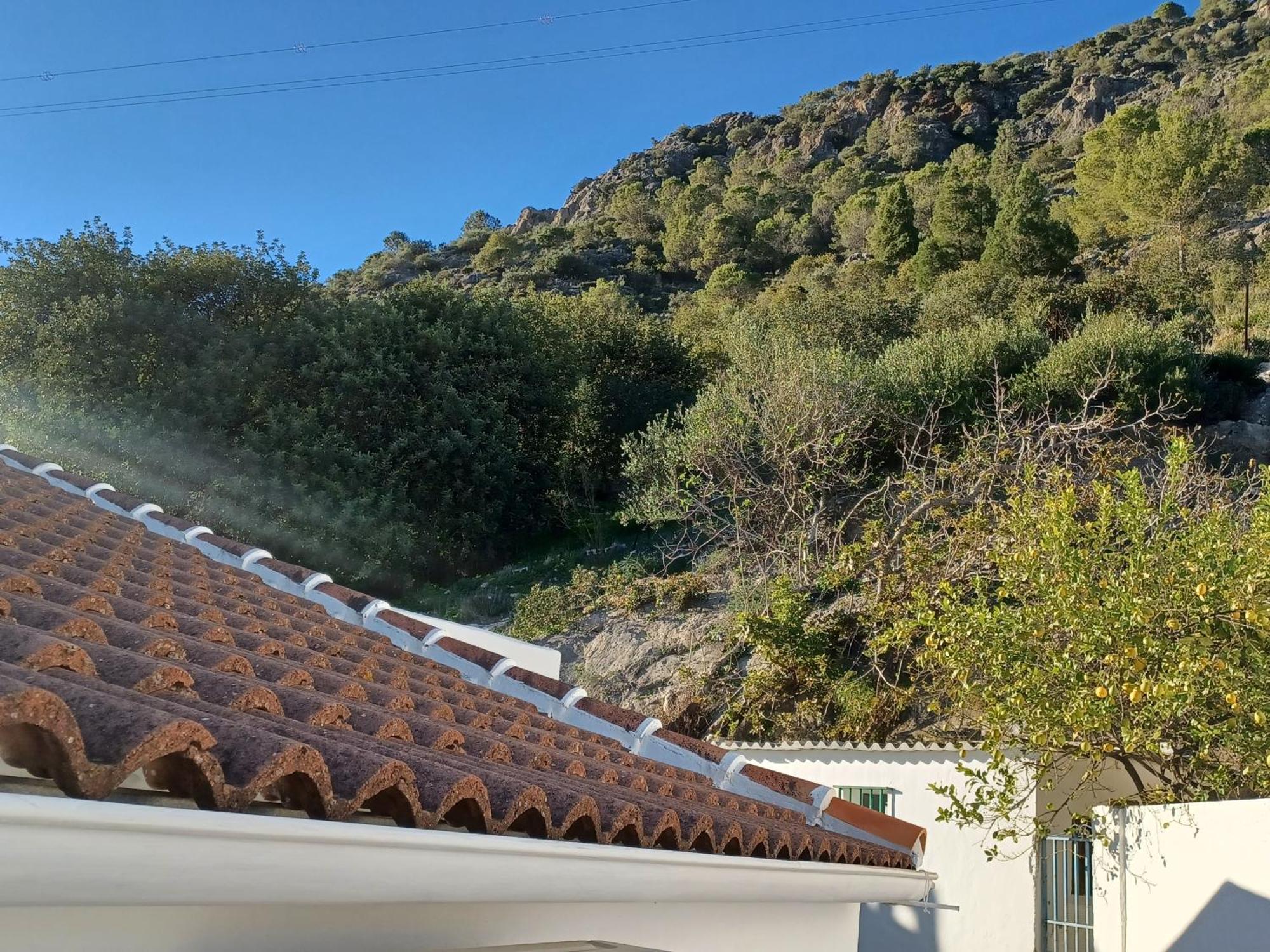 Casa Manuela. Algodonales Villa Exterior photo